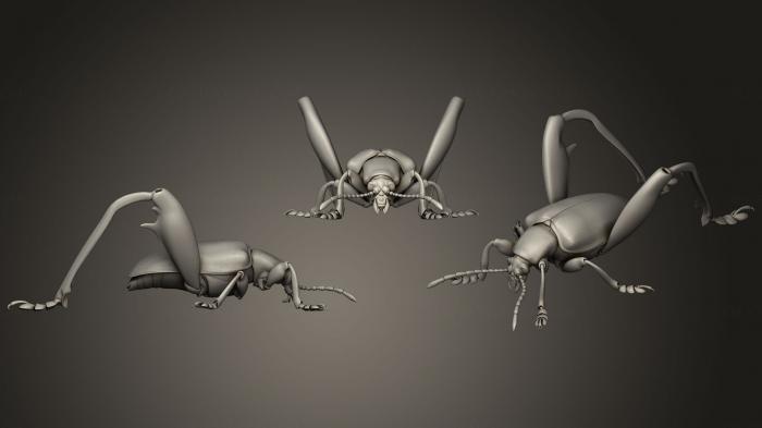 نموذج ثلاثي الأبعاد لآلة CNC الحشرات الخنافس الحشرية 13